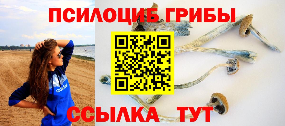 Ливны  Галлюциногенные грибы Psilocybe  Галлюциногенные грибы ЛСД  Вход с VPN 