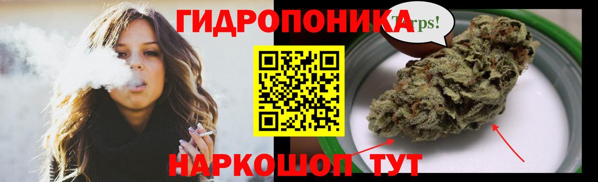 Бошки марихуана ГИДРОПОН  Бошки марихуана план  Конопля Amnesia  Ливны  Вход с VPN  Каннабис семена 